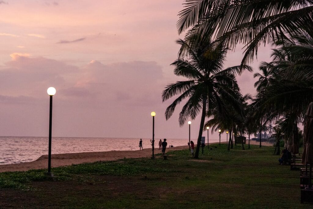 Palm-lined beach promenade at sunset