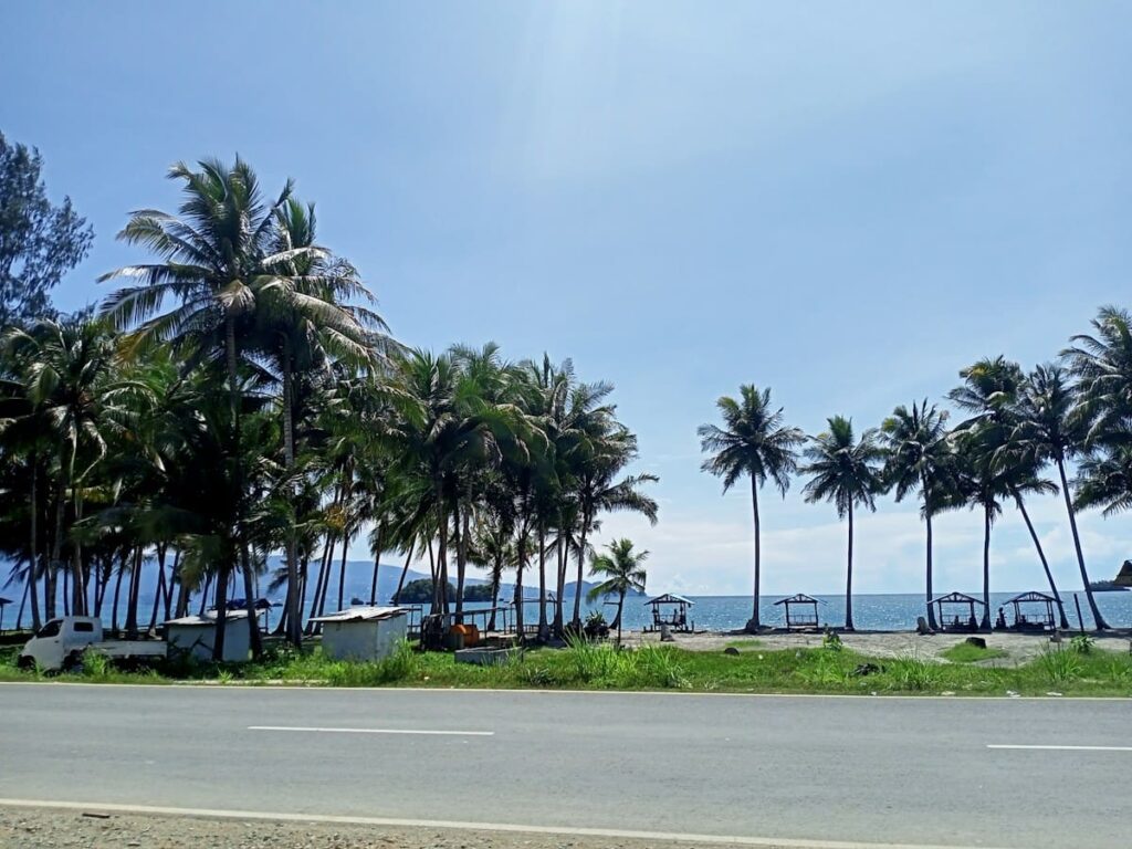 Palm trees lining a road near the ocean
