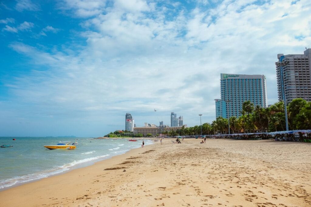 City skyline beside a tropical beach