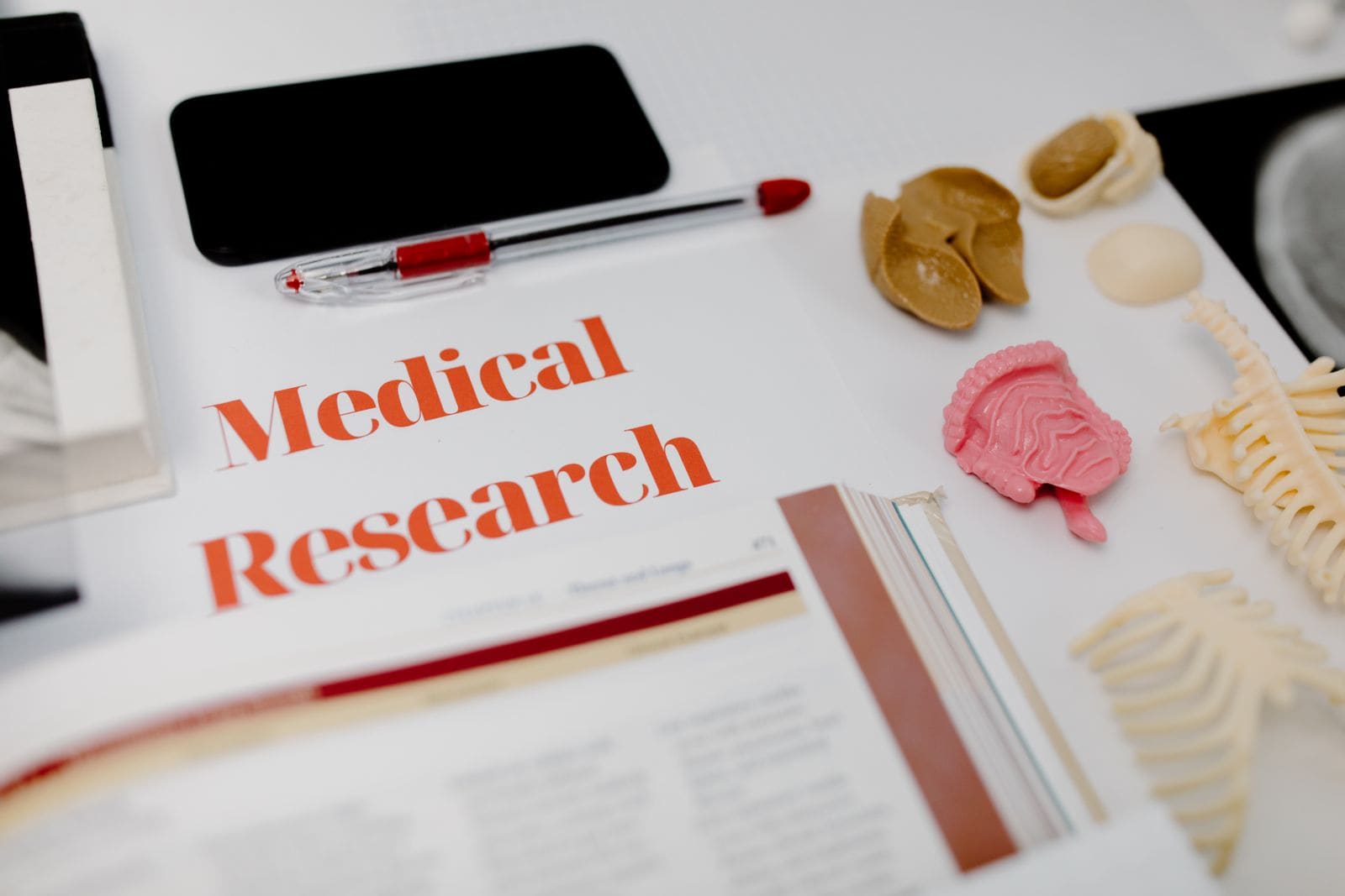 Medical tools and anatomical models laid out on a desk