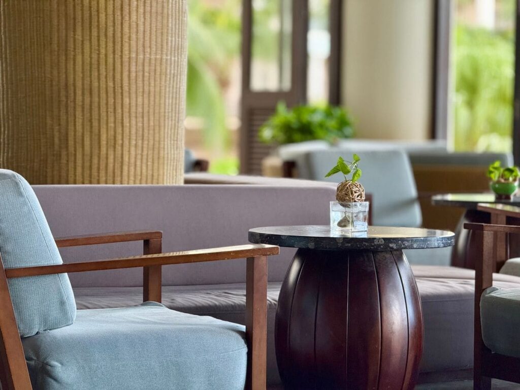 Comfortable lounge with wooden furniture and green plants